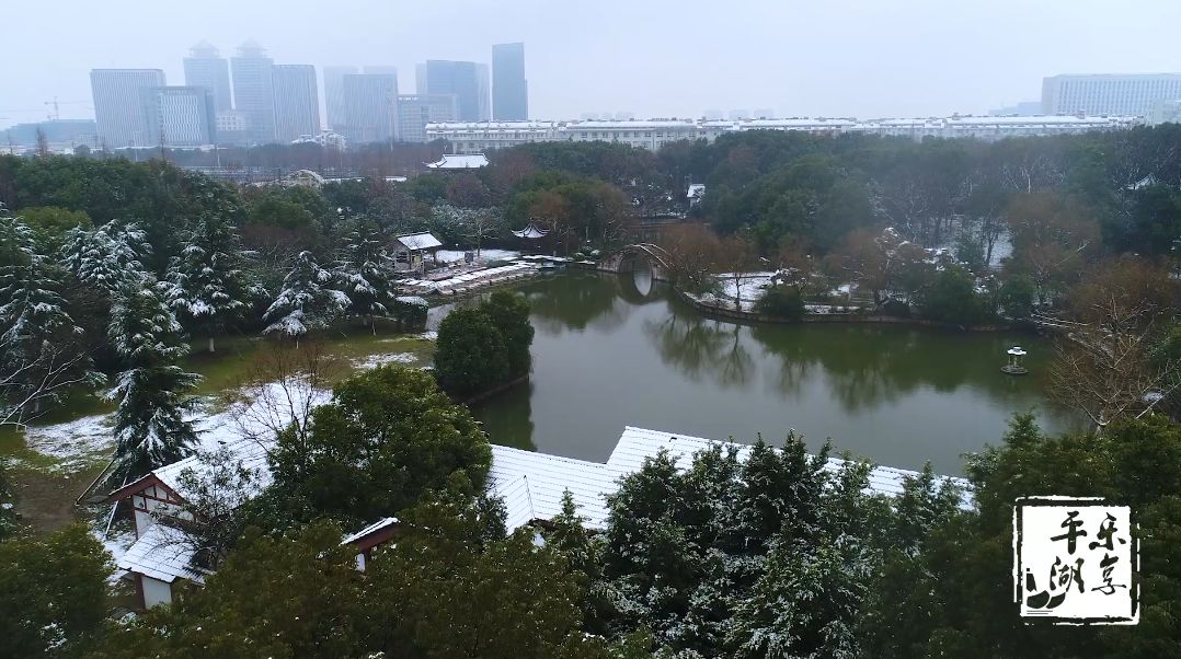 【平湖好风景】平湖人最熟悉的公园,被雪"化妆美颜"后