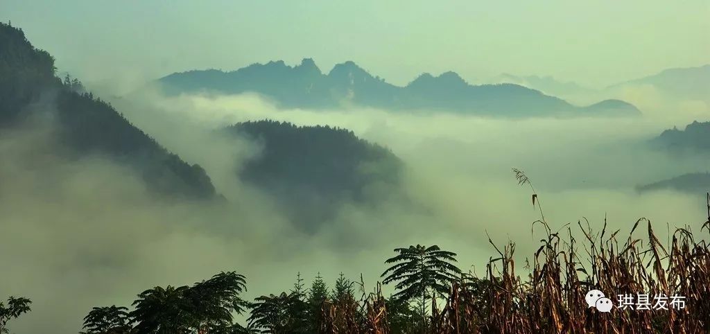 全省只有5處，它是其中之一，憑什麼～ 娛樂 第5張