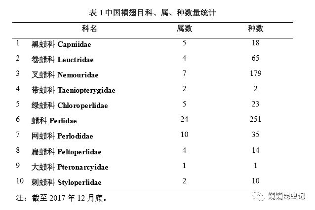 【虫研捷报】中国襀翅目名录及科属级检索表