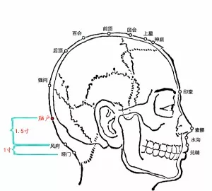 按摩:正坐,双手伸过颈项,放置在后脑处,手掌心向头,扶住后脑勺,四指的