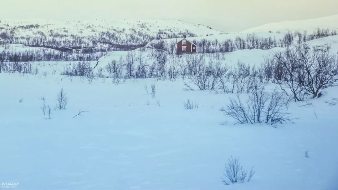 盘点国内十大最美雪景,今年你的城市下雪了吗?