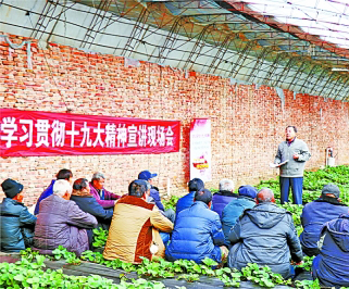 【最美基层干部】王洪旗:把"破集烂镇"建成"花园样板村"