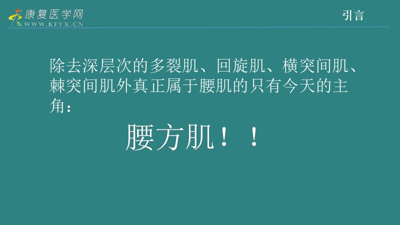 搞定一块肌肉解决腰肌劳损-腰方肌劳损