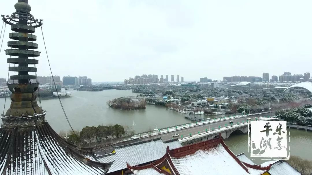 【平湖好风景】这里有一封2018年初雪"诀别信",请查收