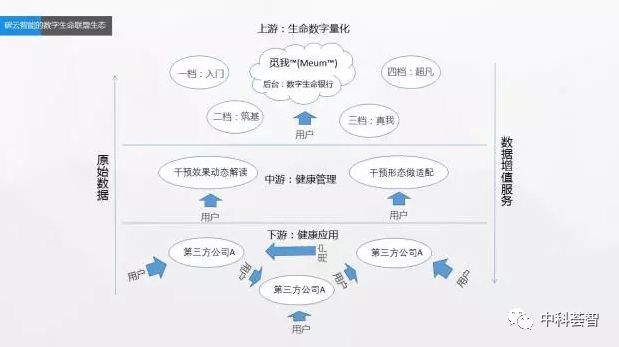 荟智案例 | 生命健康余额不足,找碳云啊!