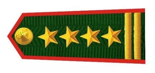 越南人民军边防部队大校肩章