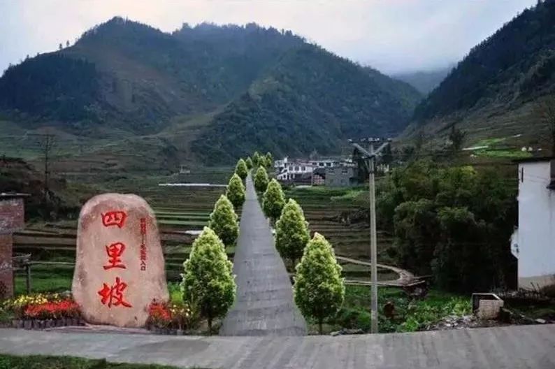 全省只有5處，它是其中之一，憑什麼～ 娛樂 第3張