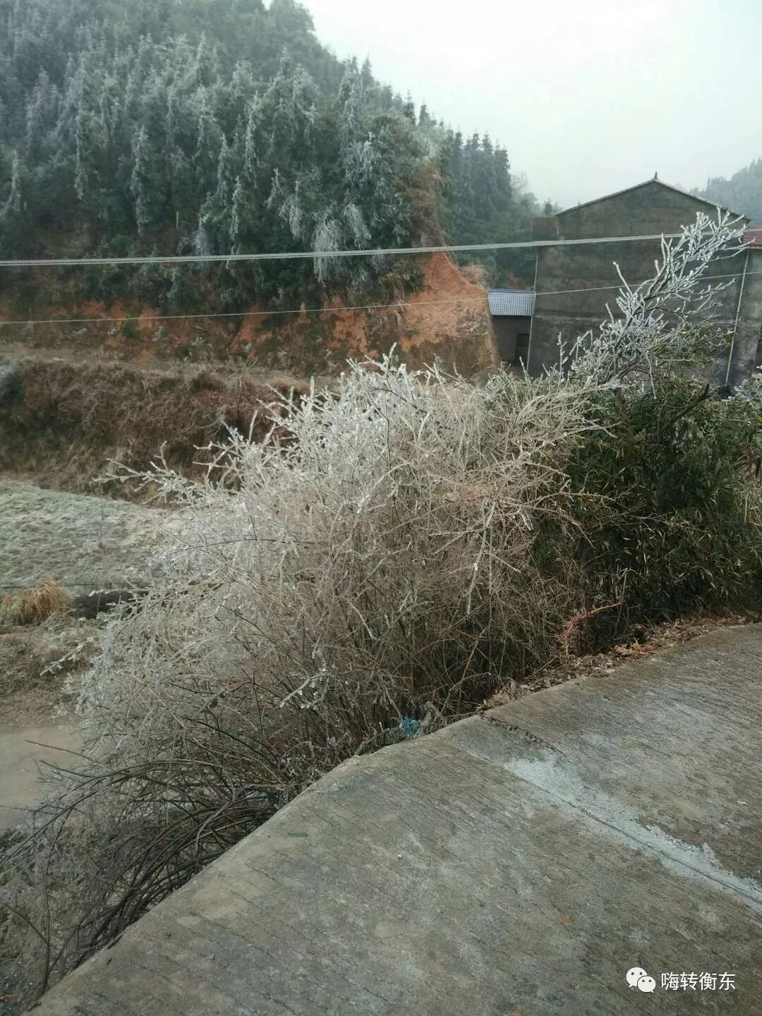 衡东人期待的雪终于来了,冰雪美图看这里!