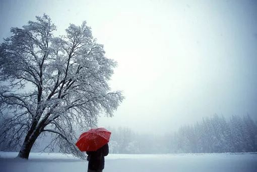 下雪了,照顾好自己!(致我在乎的人)