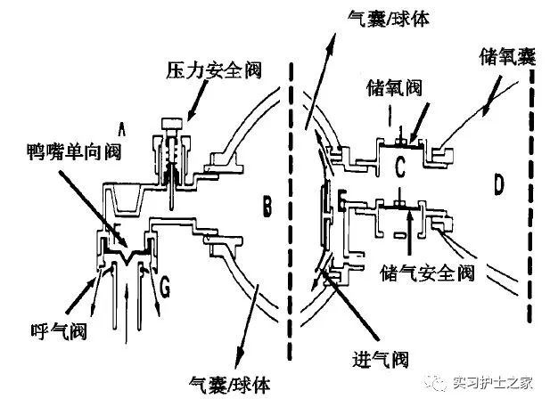 抱球简易呼吸器的使用