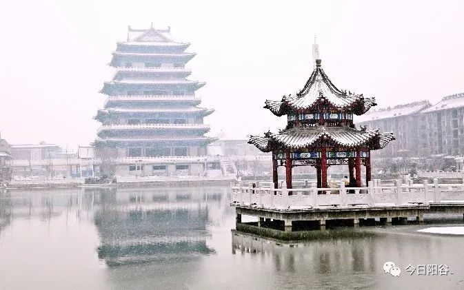 大阳谷的雪 终于停了 让我们来看看阳谷下起大雪 雪后的紫汇湖,真美