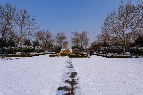 济南喜降瑞雪,雪后的济南美景如画,只是持续的时间有点短