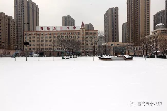 2018年第一场雪 青岛五十八中开启雪景模式