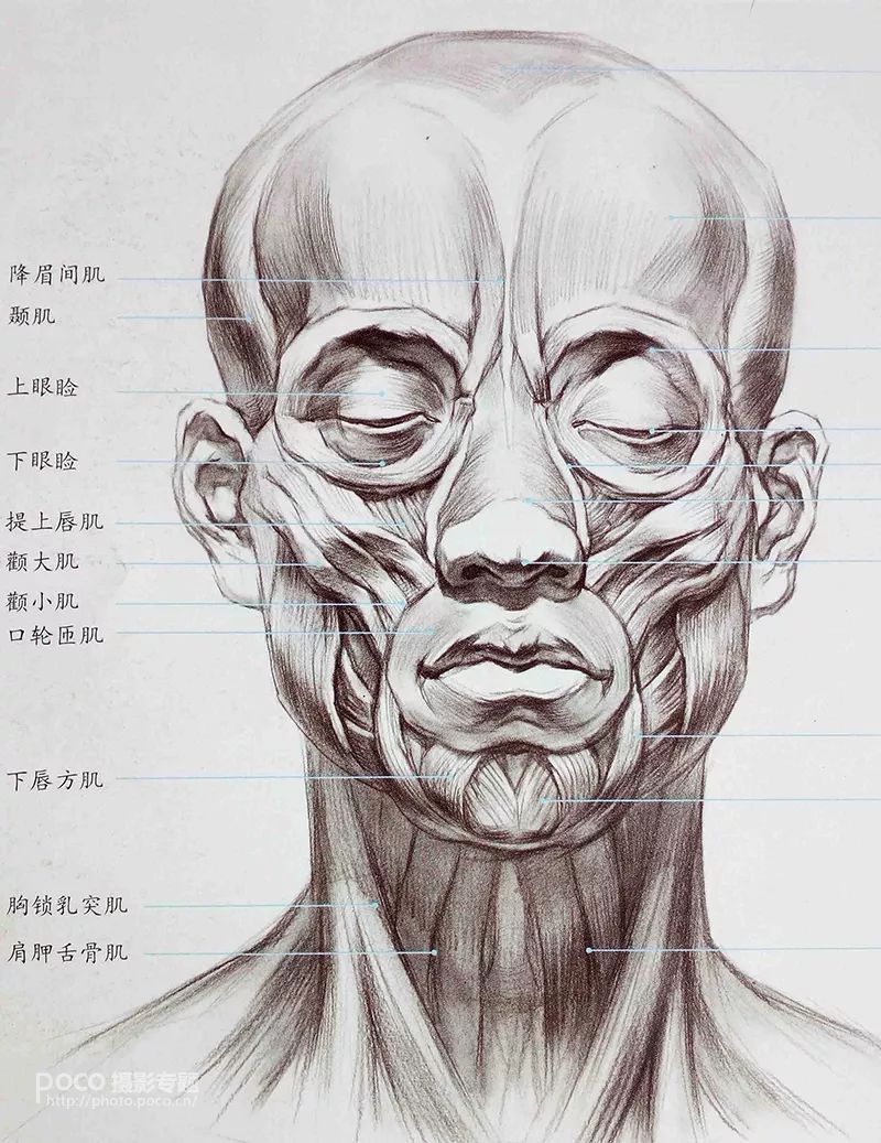 人像后期进阶:加强脸部结构打造立体感