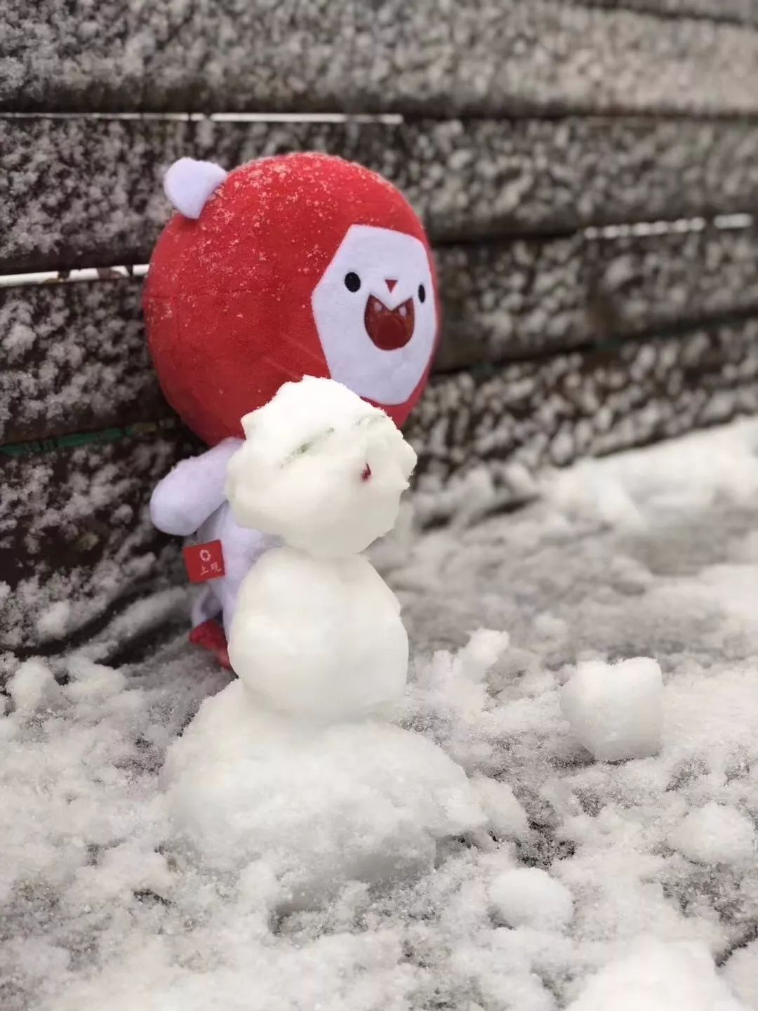 看张家港雪人花式炫富,你的雪人穿金戴银了吗?