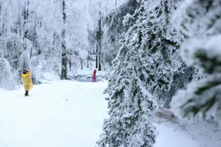 超级壮观!梅城乌龙山的雪景美爆了!