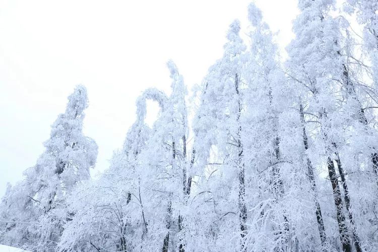 超级壮观!梅城乌龙山的雪景美爆了!