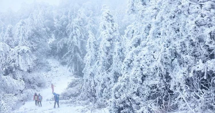 超级壮观!梅城乌龙山的雪景美爆了!