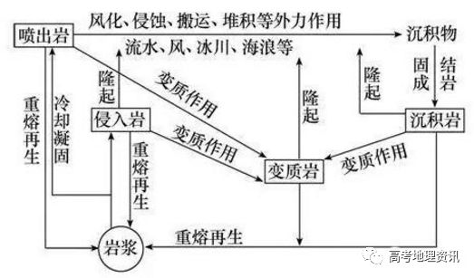 动物拜月的原理_资料分享 高考生物必考16 个实验原理大解析, 好资料一份就够了(3)