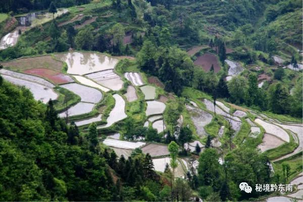 【关注】黄平县"生态造势"实现旅游招商40亿元