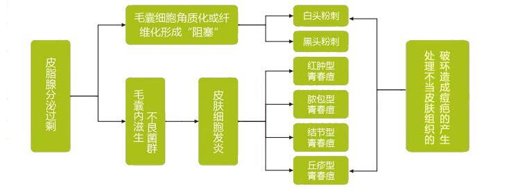 这是痘痘生长的过程