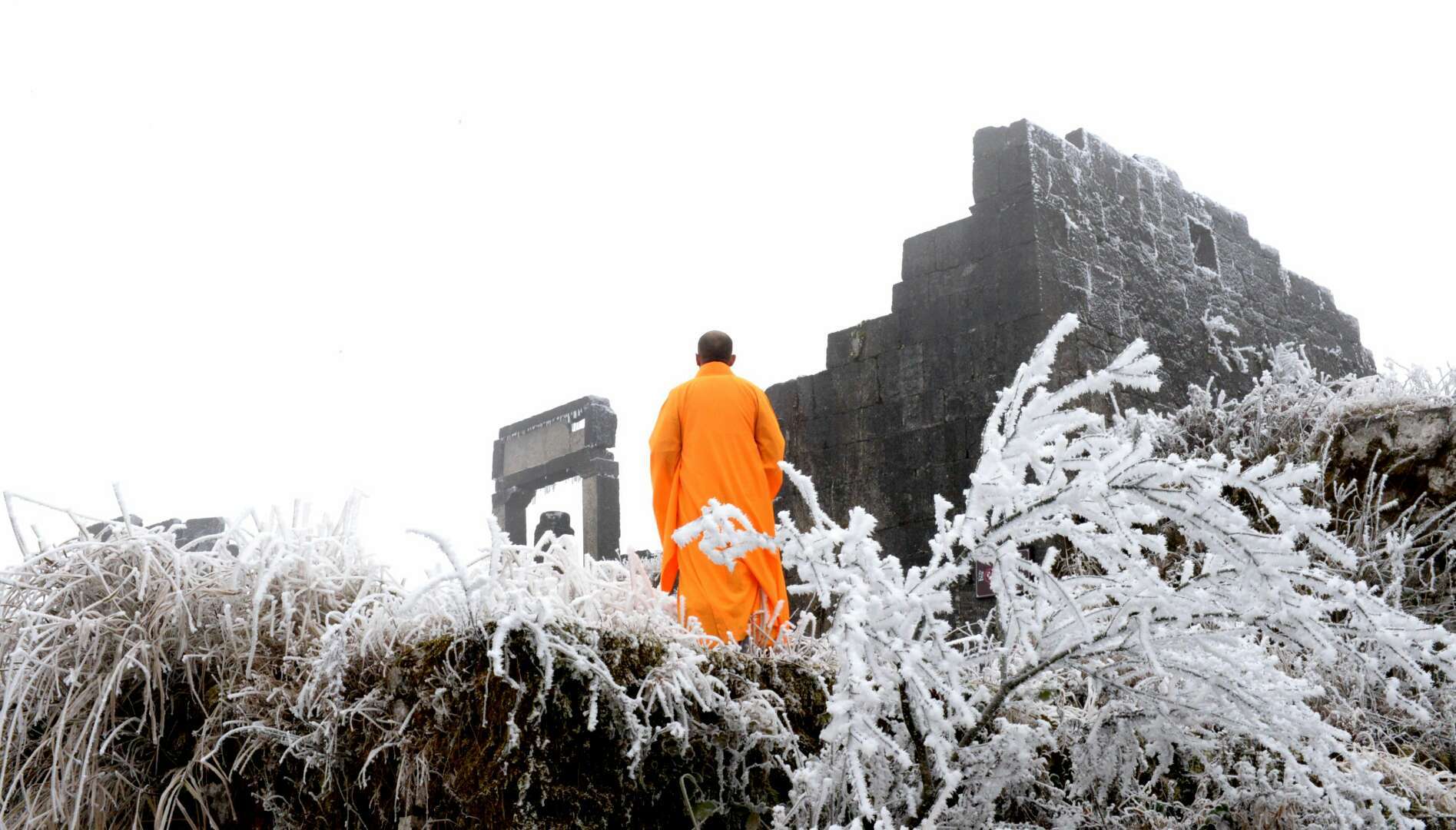 一位泰国僧侣的修行日常 - 知乎