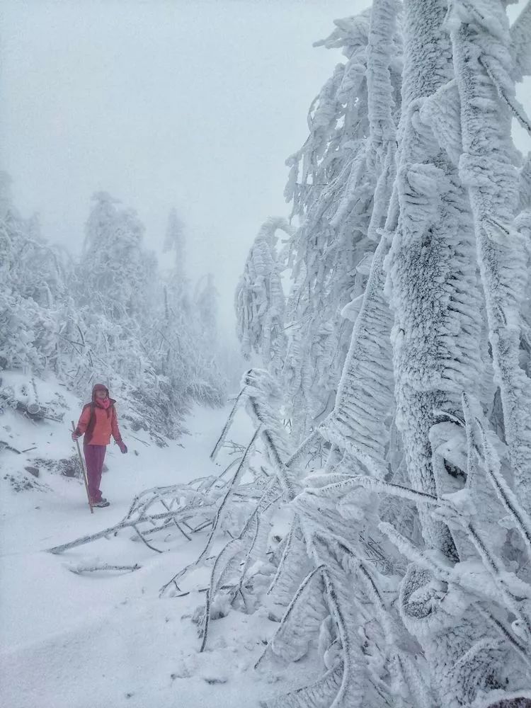 超级壮观!梅城乌龙山的雪景美爆了!