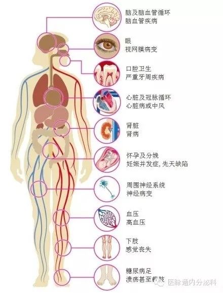 超全内分泌系统知识点图解,你值得拥有!