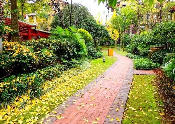 地产篇 | 小区道路的景观植物应怎样配置?