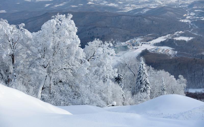 飞翔在雪山林海当中 驰骋在天宫云雾之上