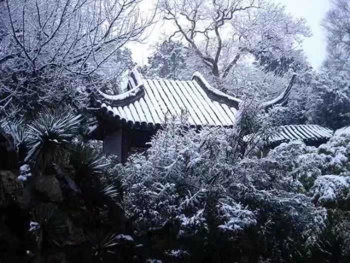 昨日风雪落满街角,我与你等一场暮雪白头