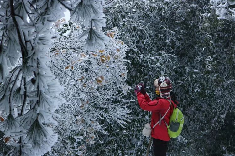 超级壮观!梅城乌龙山的雪景美爆了!