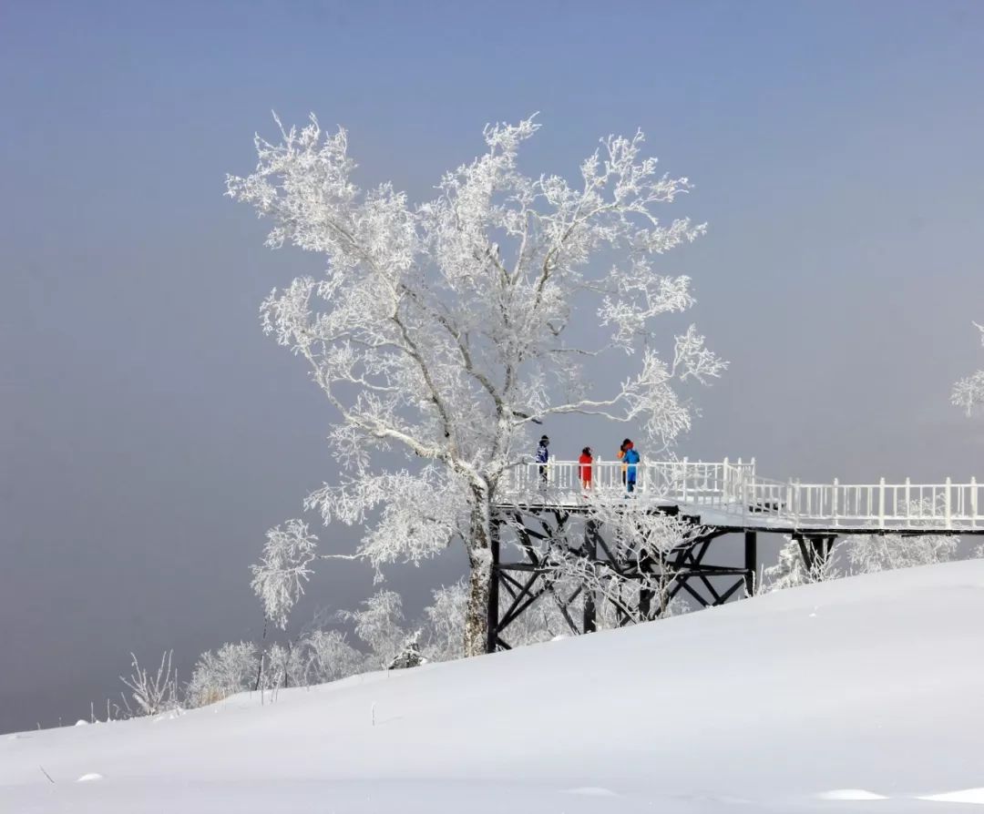 冬季最美公路,十里冰雪画廊,一步一景