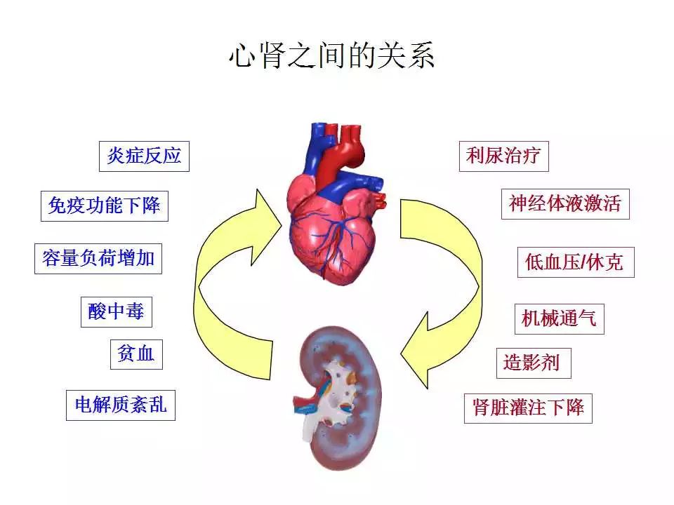 精彩幻灯 | 心肾综合征