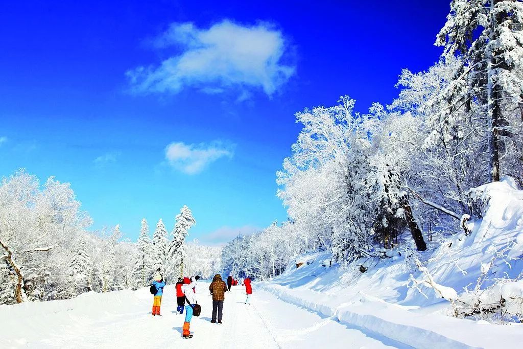 冬季最美公路,十里冰雪画廊,一步一景