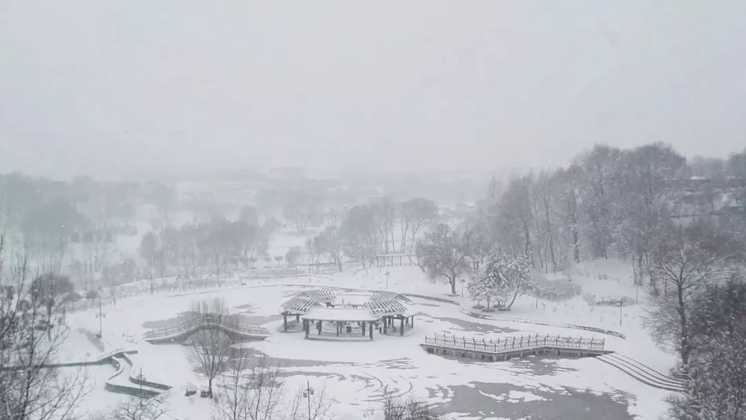 昨日风雪落满街角,我与你等一场暮雪白头