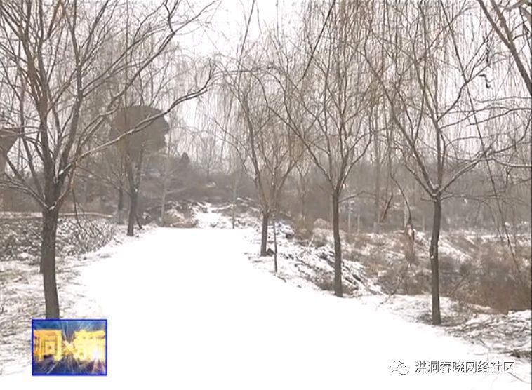 【天气】洪洞左木飘雪:瑞雪纷飞 风景独好!