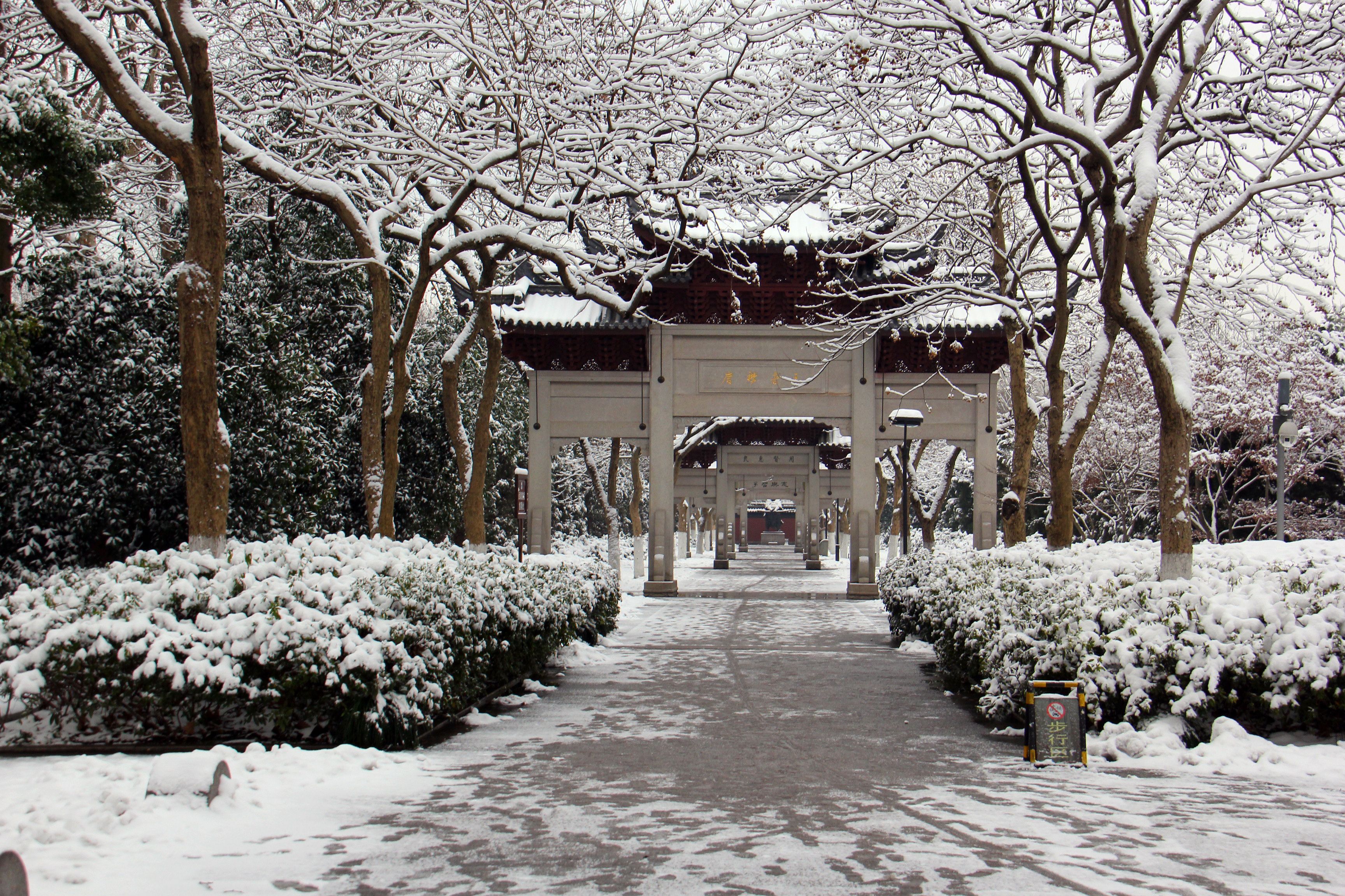 杭州浴鹄湾花港观鱼郭庄曲院风荷断桥雪景都是屏保图