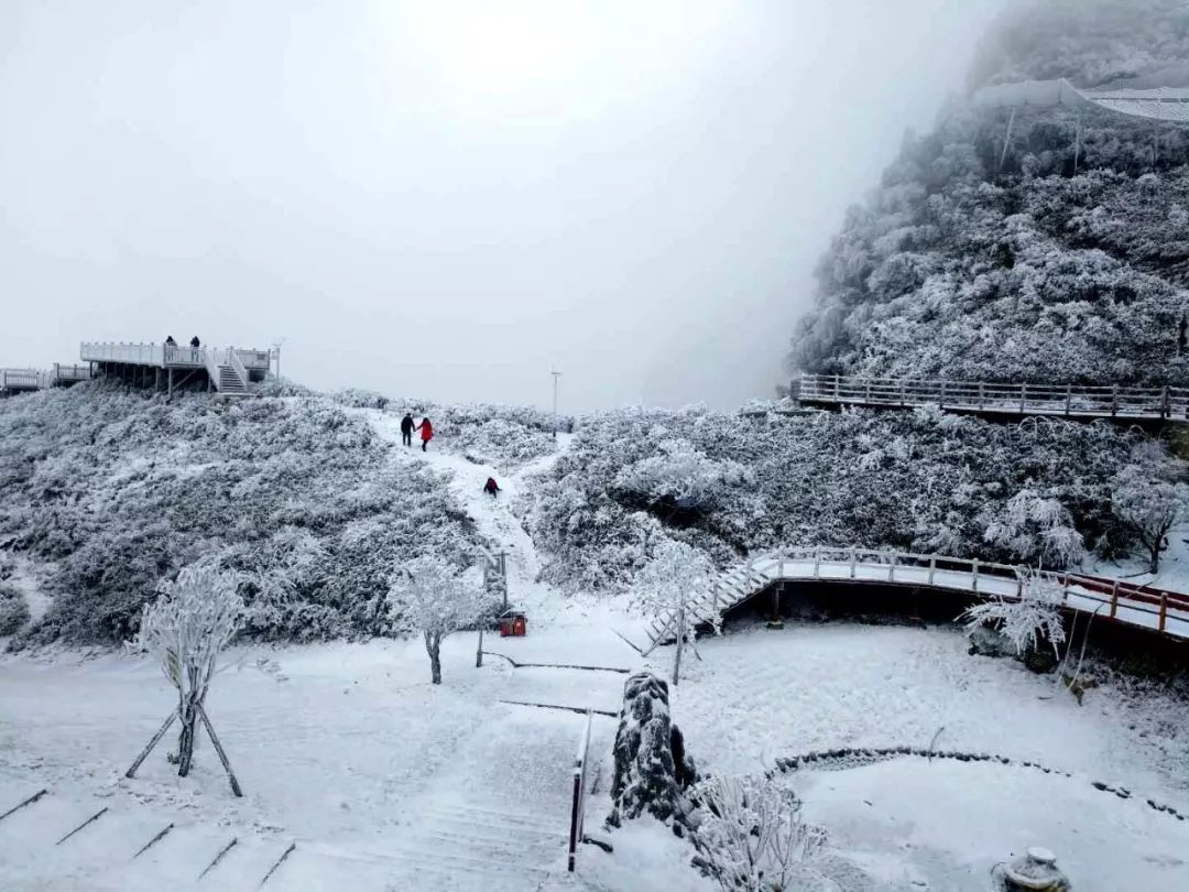 八台山寒假嗨翻天,学生门票3折啦!