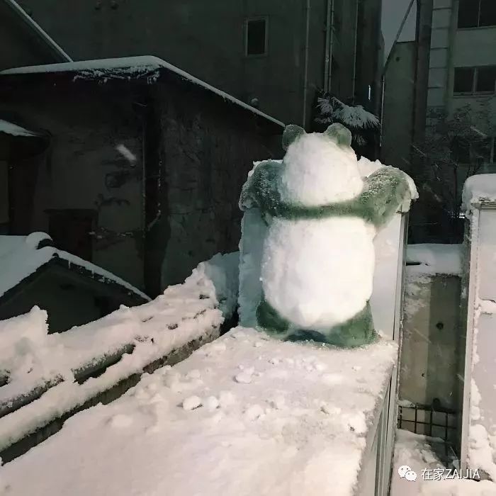 南方堆的这些雪人,见过大场面的东北人都纷纷"哎呀妈呀"