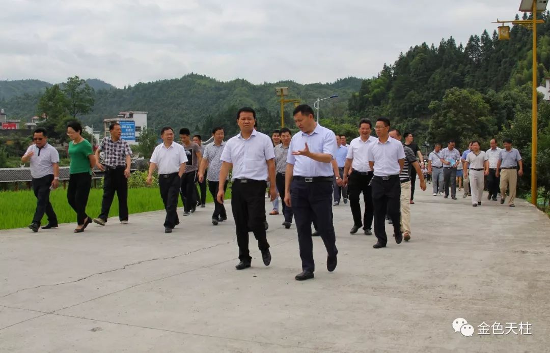 观摩团一行在邦洞街道赖洞村观摩.