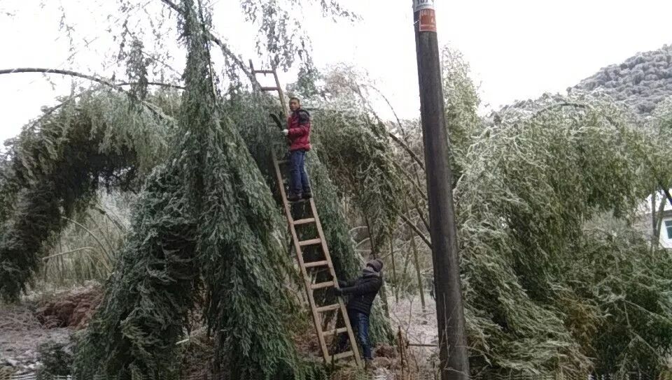 奉新县各乡镇人口_奉新县地图