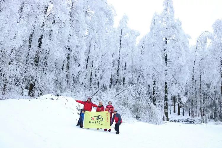 超级壮观!梅城乌龙山的雪景美爆了!