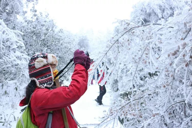 超级壮观!梅城乌龙山的雪景美爆了!