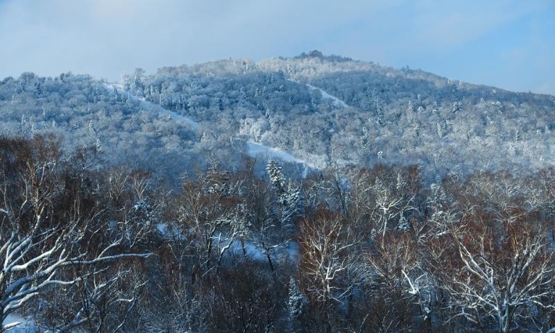 飞翔在雪山林海当中 驰骋在天宫云雾之上