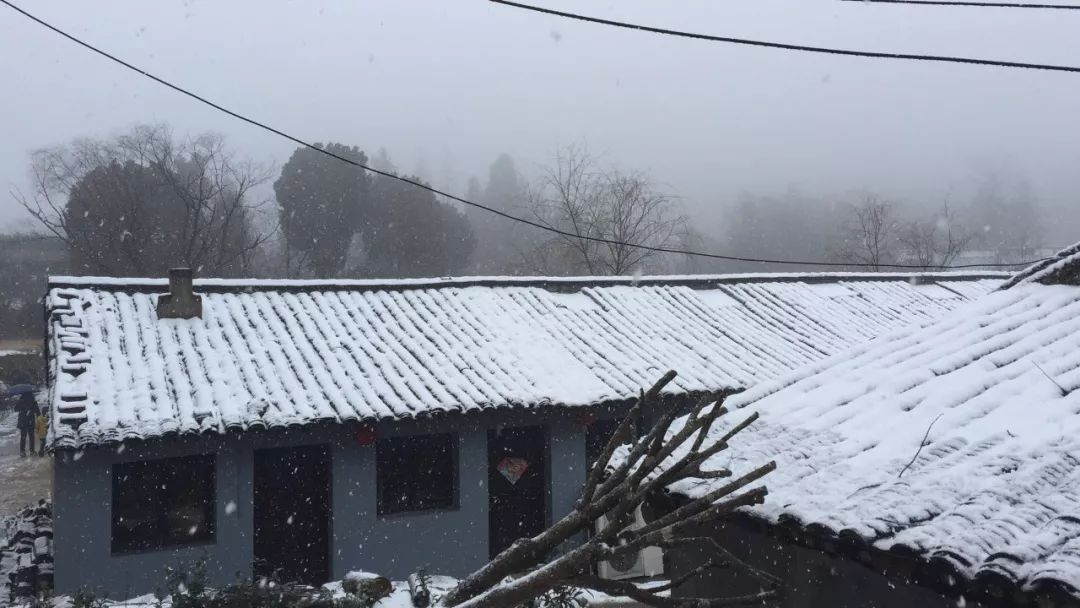 温岭大溪现在人口有多少_温岭大溪古城遗址(3)