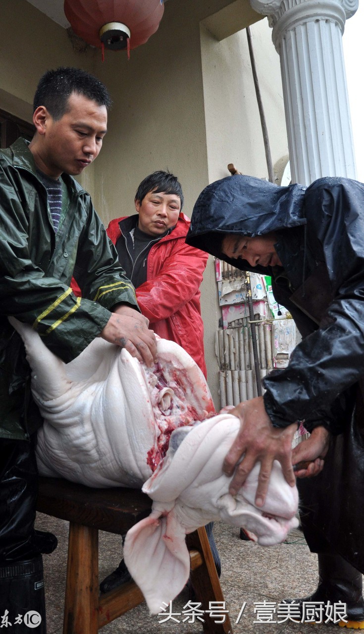 农村杀年猪场面震撼 城里人一辈子吃猪肉 没吃过杀猪饭