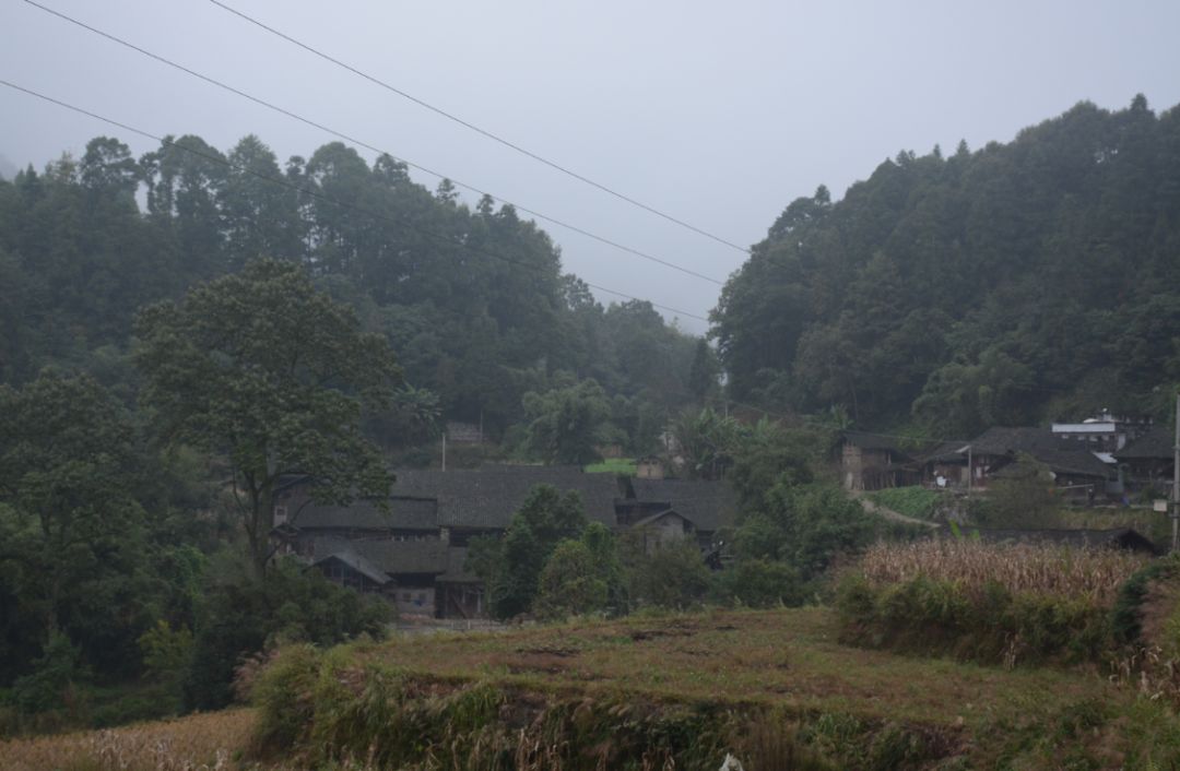 务川这个地方以前埋藏了大批富翁和能人,现在还有大批