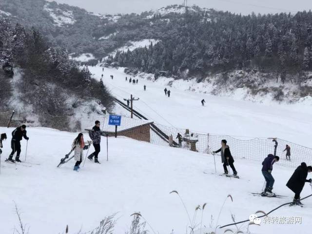 神州卡直通车2月4日免门票晋城白马寺滑雪游白马寺景区