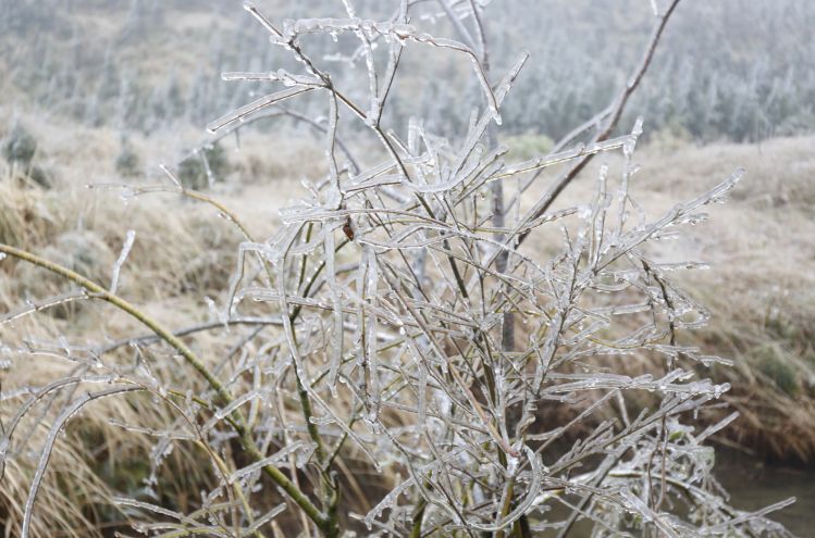 鼎湖山下雪?假的!记着带你走进怀集"真.冰雪世界"(附路况信息)